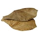 image 2 of Dennerle Catappa Leaves Pack of 12 for Aquariums