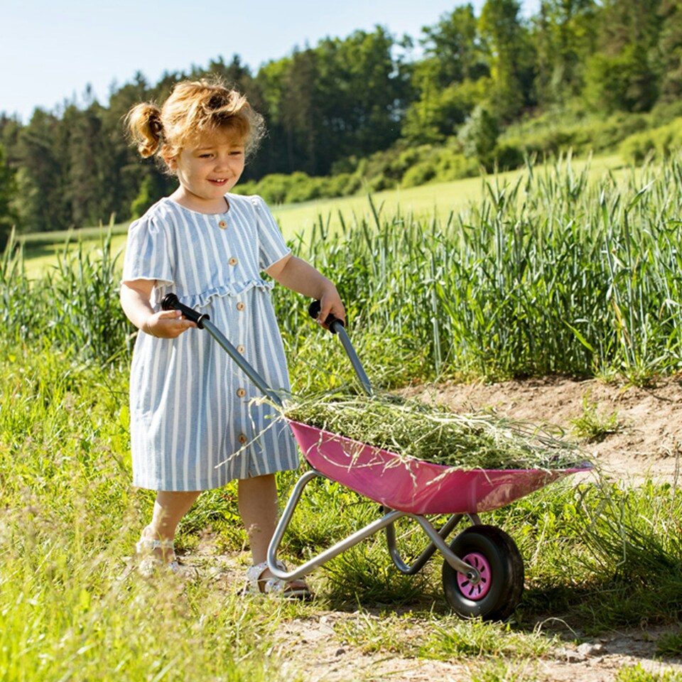 image 1 of Rolly Childs Pink Metal Wheelbarrow