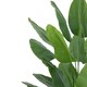 image 2 of 200cm Traveller Palm Artificial Tree Realistic