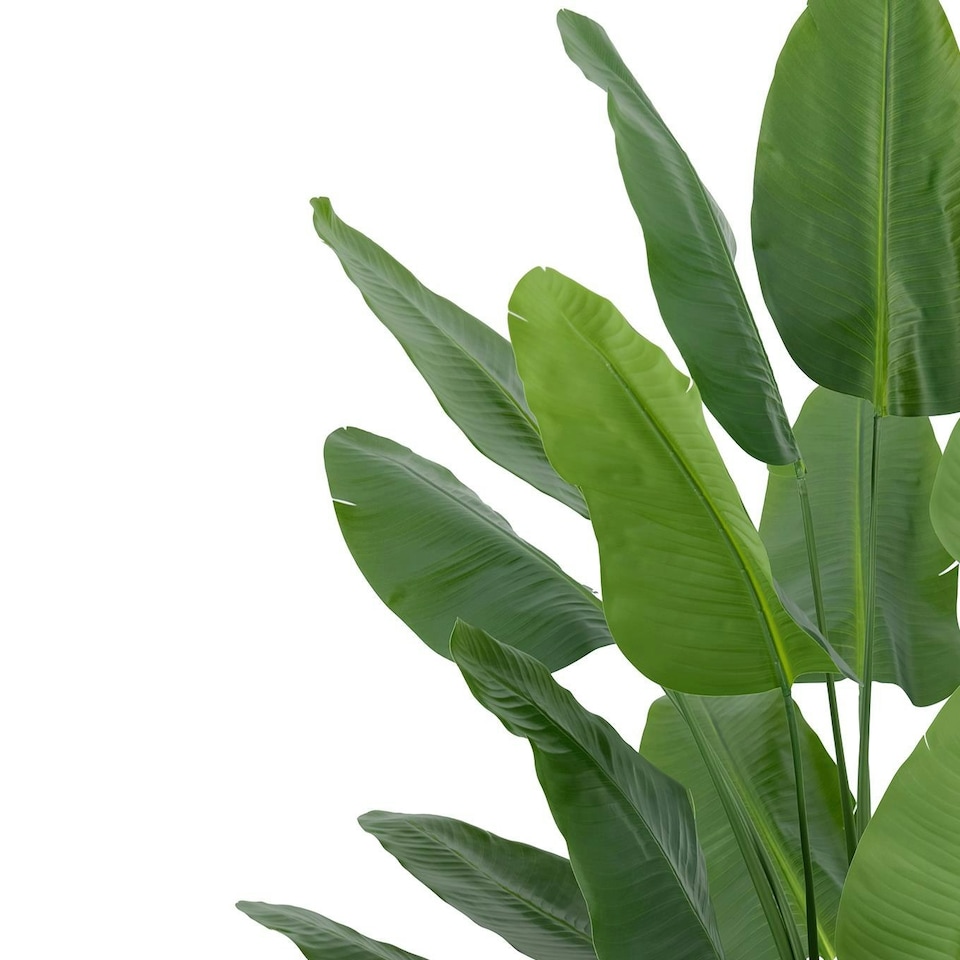 image 1 of 200cm Traveller Palm Artificial Tree Realistic