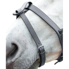 Blenheim Leather Horse Flash Strap - Black - Pony