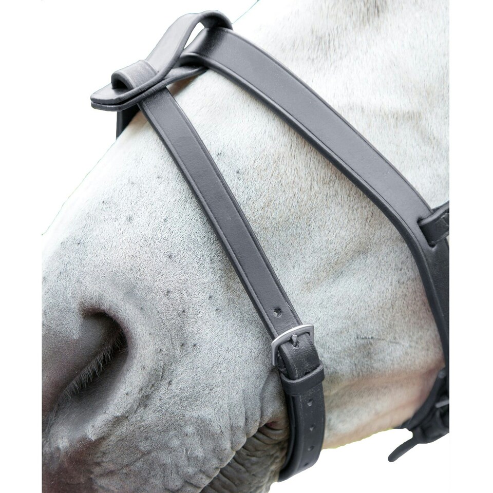 Blenheim Leather Horse Flash Strap - Black - Pony
