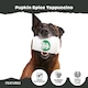 image 7 of BARK Pupkin Spice Yappucino Dog Toy