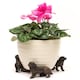 image 2 of Bernese Mountain Dog Plant Pot Feet - Set of 3 - L8 x W8.5 x H10.3 cm Grey