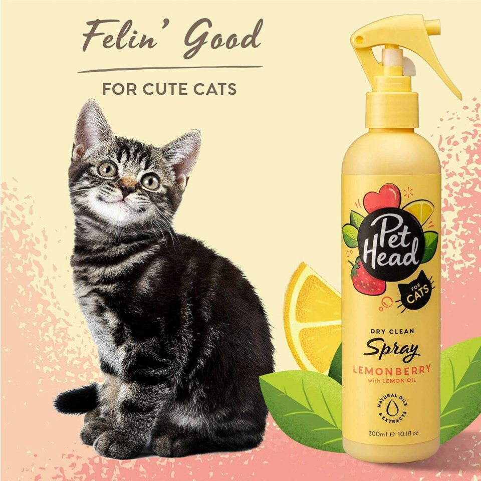 image 1 of Pet Head Felin' Good N/A | Size: Foam