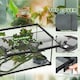 image 4 of PawHut Glass Reptile Terrarium with Thermometer, Decor Kit, Heated - Black