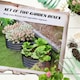 image 8 of Outsunny Set of 2 Raised Garden Bed Metal Planter Box with Safety Edging, Grey