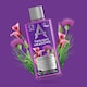 image 1 of Premium Concentrated Disinfectant Twilight Meadows