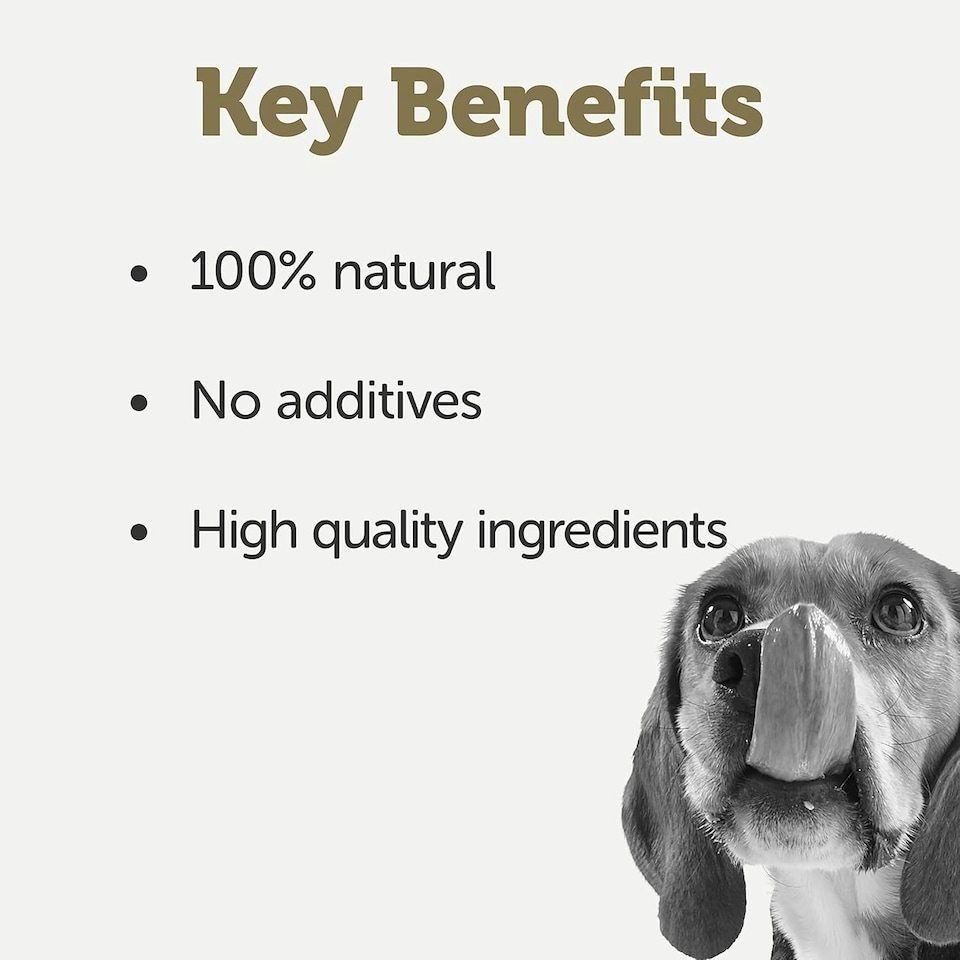 image 1 of Applaws 100% Natural Wet Dog Food Tins, Chicken Breast with Rice in Broth, 156g (Pack of 12)