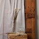 image 3 of Aster Spider Chrysanthemum Stem - Plastic - H80 cm - Cream