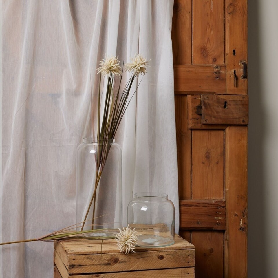 image 1 of Aster Spider Chrysanthemum Stem - Plastic - H80 cm - Cream