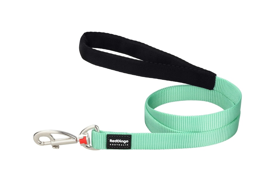 image 1 of Dog Lead Classic Pastel Green 1.2m | Green | L