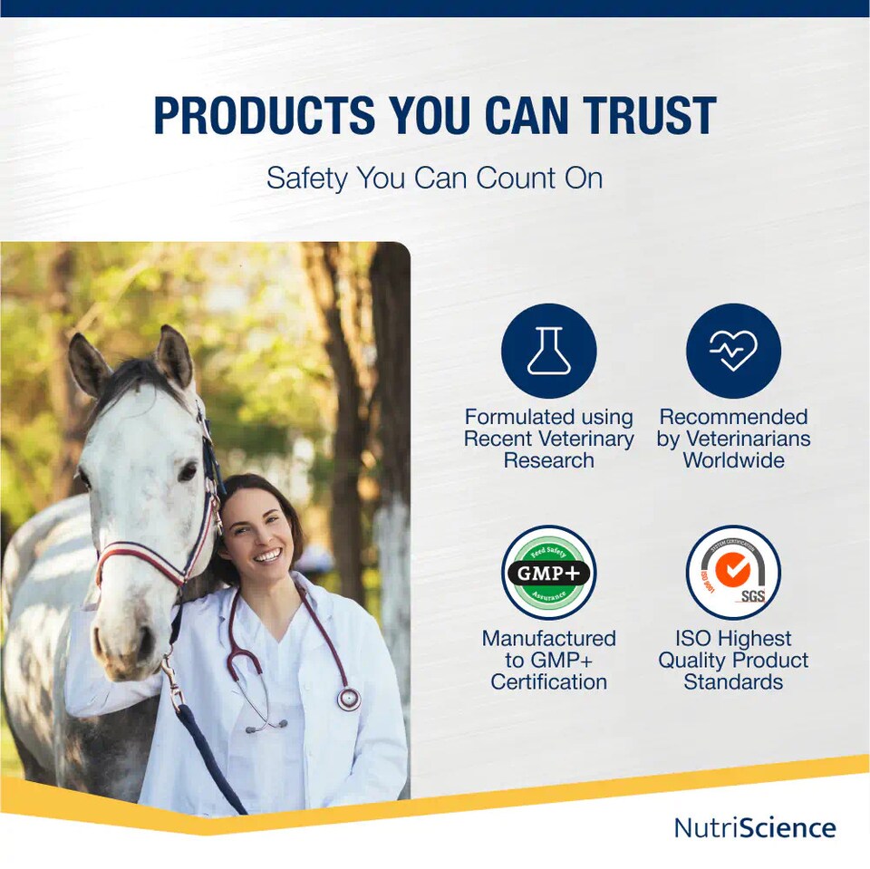 image 1 of NutriScience Horse Joint Supplement Glucosamine MSM Chondroitin Mobility Powder 3kg