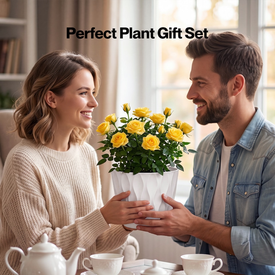 image 1 of TOQUE Plant Pots,5Pc 8 Inch Plant Pots Indoor,Drainage,PP Plastic,White