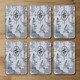 image 2 of Compass & Map (Coaster)