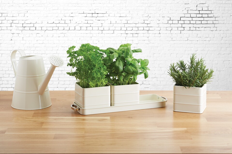 image 1 of KitchenCraft Living Nostalgia Indoor Metal Herb Pots and Tray Set