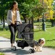 image 2 of PawHut Pet Stroller Pushchair Carrier for Cat Puppy with 3 Wheels Dark Grey