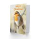image 2 of Xmas Robin Red Breast Christmas Card