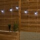 image 10 of Set of 10 Indoor Outdoor Connectable Party Festoon Lights with Cool White LEDs