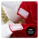 image 4 of Little Red Riding Hood Costume - with Soft Basket & Wolf Red | M