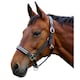 image 2 of Hy Anodize Leather Horse Headcollar - Black/Silver - Cob
