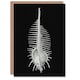 image 1 of Ernst Haeckel Art Card Murex Seashell Sketch on Black