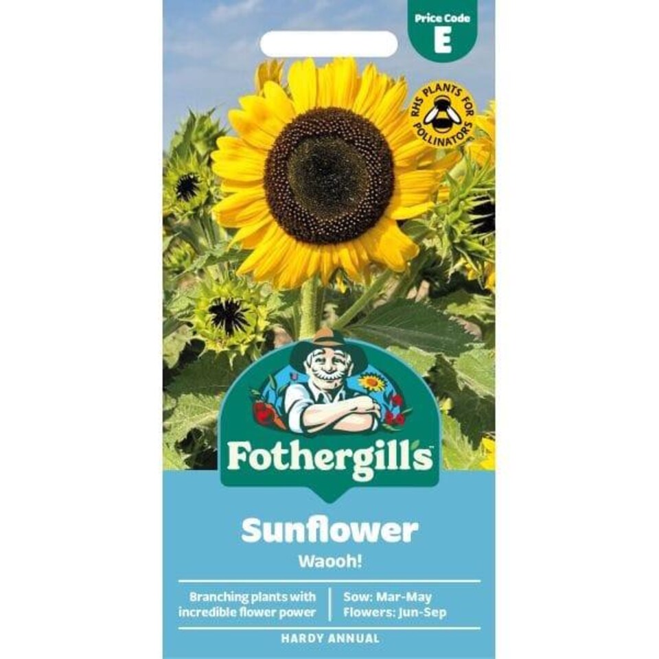 Fothergills Premium Sunflower Seeds - Waooh - Tesco Groceries