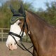 image 4 of Gallop Equestrian Classic Fly Veil Green | Size: Cob
Colour: Green