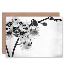 Spotted Orchid Photograph Art Blank Just to Say Card
