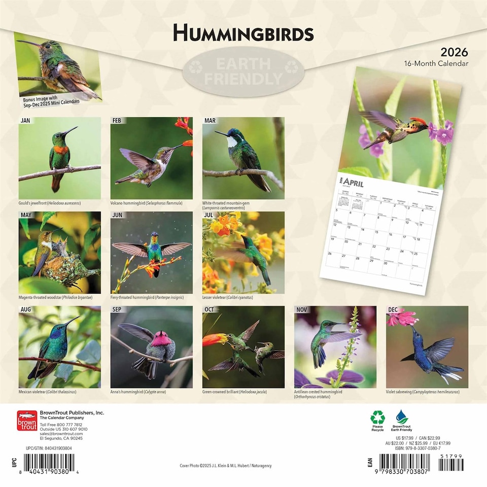 image 1 of Hummingbirds Calendar 2026, Wall Calendars, Month To View, Animals, Gift
