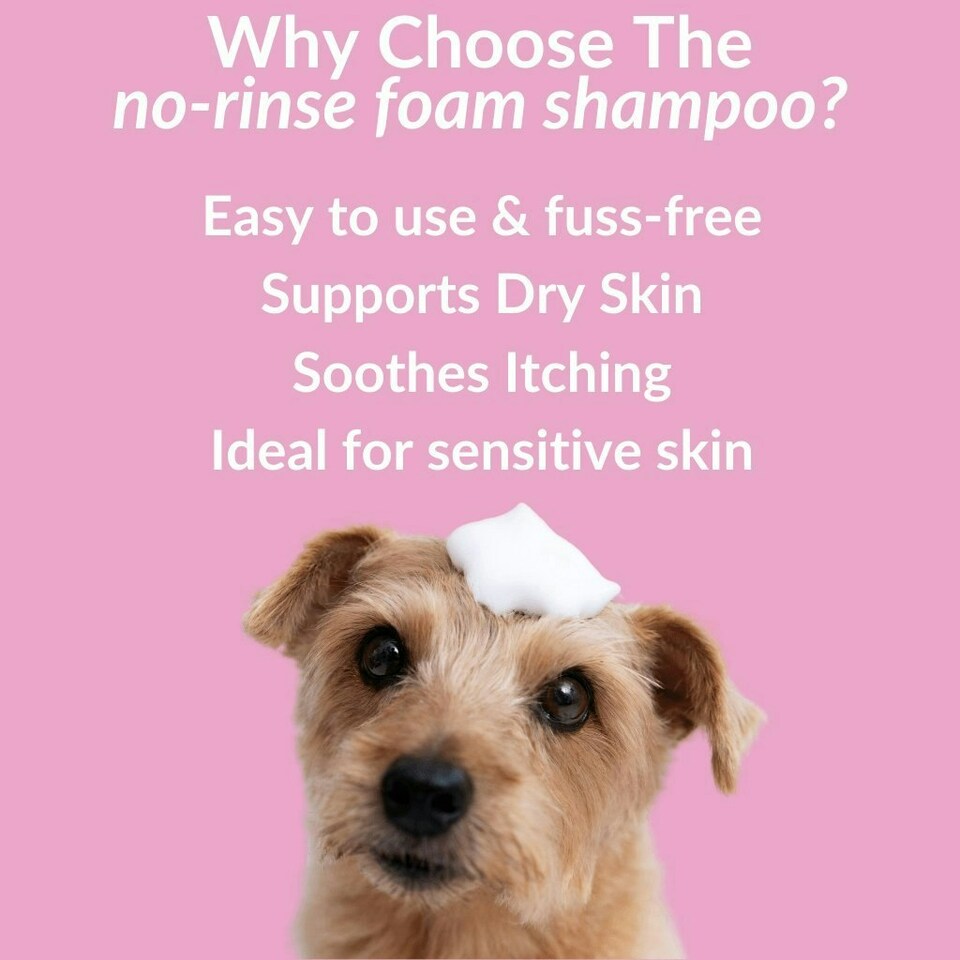 image 1 of No-Rinse Skin & Coat Foam