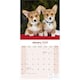 image 3 of Corgi 2026 Calendar | Square Wall Calendar | Dog Breed Gift | Plastic Free Packaging | by Avonside Publishing