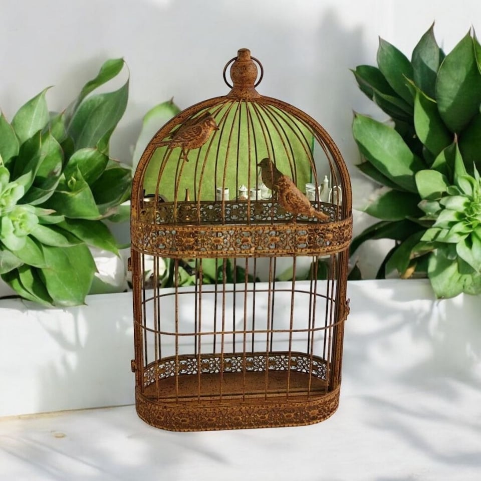 image 1 of Garden Mirror Cage - Metal - L10 x W34 x H60 cm - Rusty