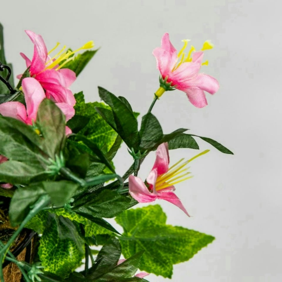 image 1 of Primrose Artificial Duranta Pink Flowers Hanging Basket with Solar Light 26cm