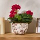 image 1 of Belfort Floral Planter Cream
