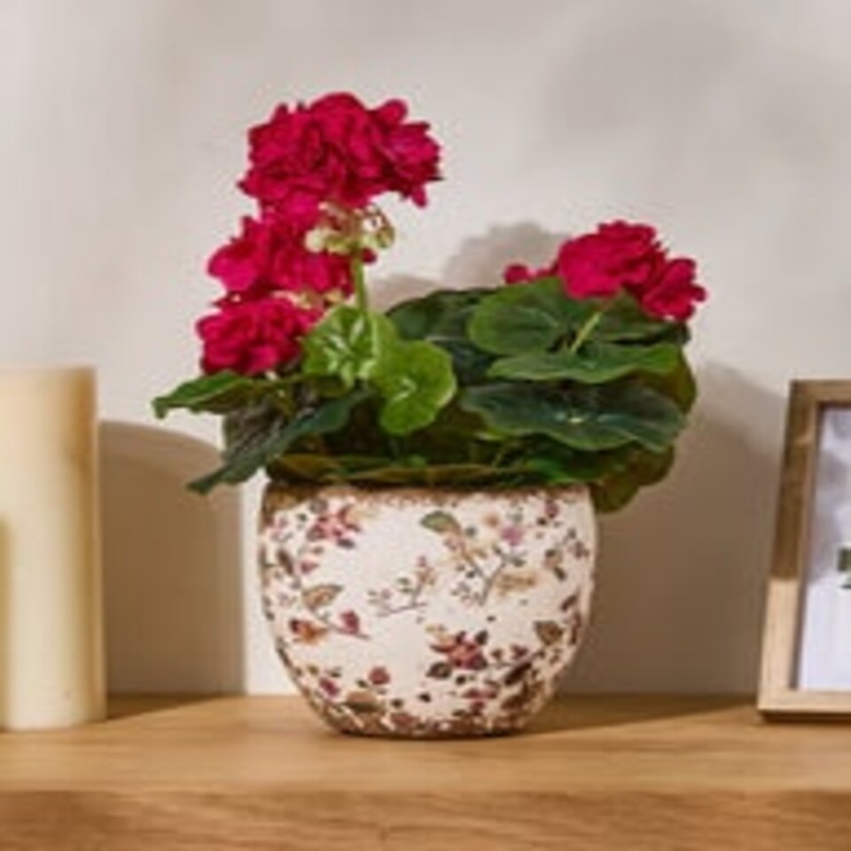 image 1 of Belfort Floral Planter Cream