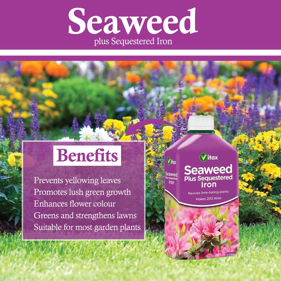 image 1 of Vitax Seaweed Plus with Sequestered Iron 500ml Liquid Fertiliser for Acid-Loving Plants Lawns & Garden Growth Tonic