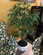 image 2 of 120cm (4ft) Green Leaf Artificial Bamboo Plants Trees - XL | Green | 4ft