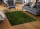 image 2 of Fresh Green Grass Background, Natural Grass Designer Rug | Multi