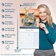 image 6 of Cats 2026 Calendar | Square Wall Calendar | Cat Gift | Plastic Free Packaging | by Avonside Publishing