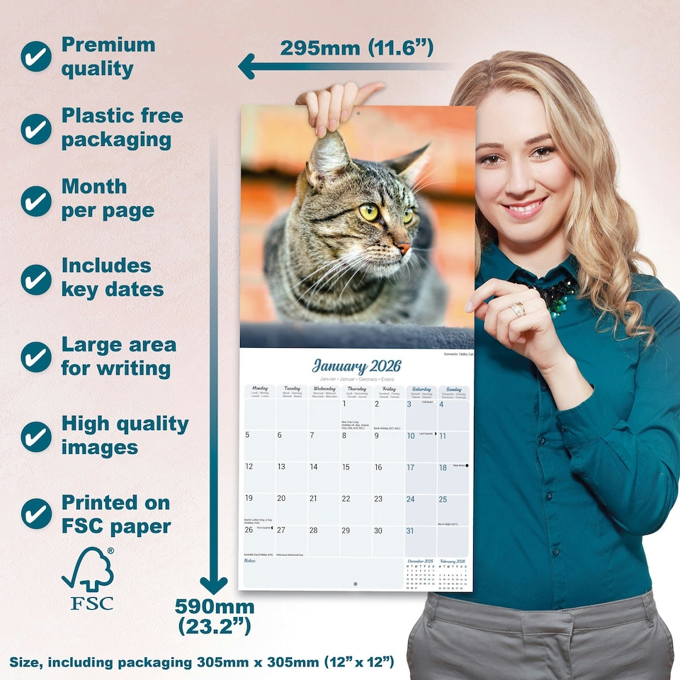 image 1 of Cats 2026 Calendar | Square Wall Calendar | Cat Gift | Plastic Free Packaging | by Avonside Publishing