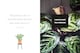 image 5 of Happy Houseplants