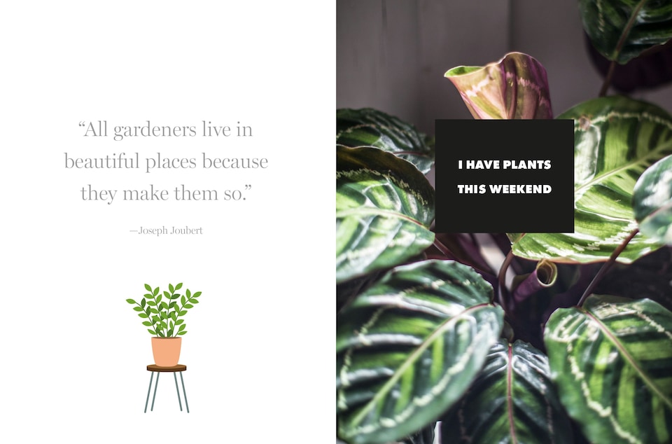 image 1 of Happy Houseplants