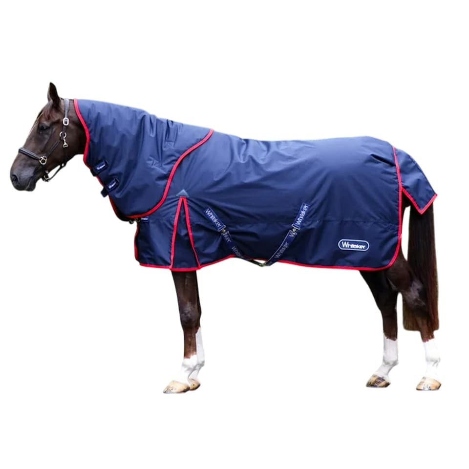 Whitaker Rastrick V2 Fixed Neck Horse Turnout Rug - Navy - 6´ 9"