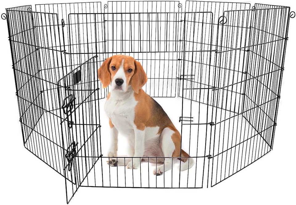 image 1 of Actiaspet Black Metal Drop Pin Play Pen Available in 4 Different Sizes (Black, Medium, 8)