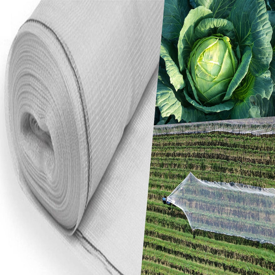 image 1 of Pegdev White Heavy Duty Plants & Crops Netting 2m x 12m UV Stabilised Mesh