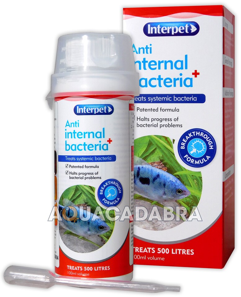 image 1 of Interpet Anti Internal Bacteria Treatment 100ml