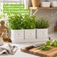 image 5 of Set of 6 White Indoor Herb Pots with Tray
