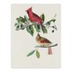 image 1 of Cardinal Grosbeak Bird Audubon Nature Huge Wall Art Poster Print 24X32"