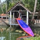 image 4 of Shark SUPs Roam 11'6 x 32 x 5 Paddleboard
